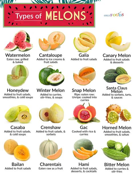 16 Types Of Melons, Explained